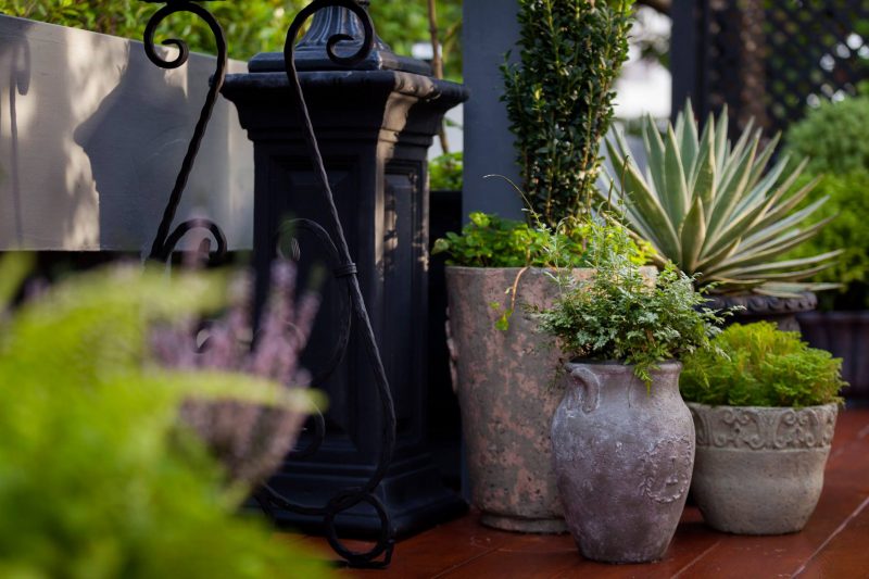 สวนระเบียงบ้านคุณเอ๊ะ – ศิริลักษณ์ หอมสุวรรณ