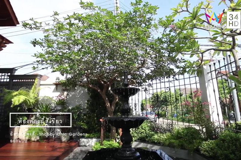 รายการบ้านและสวนEp.18 ช่วงสวน “ห้องห้องนี้สีเขียว”